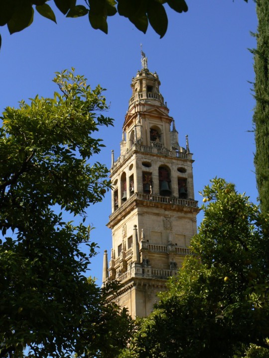 cathédrale mosquée de cordoue