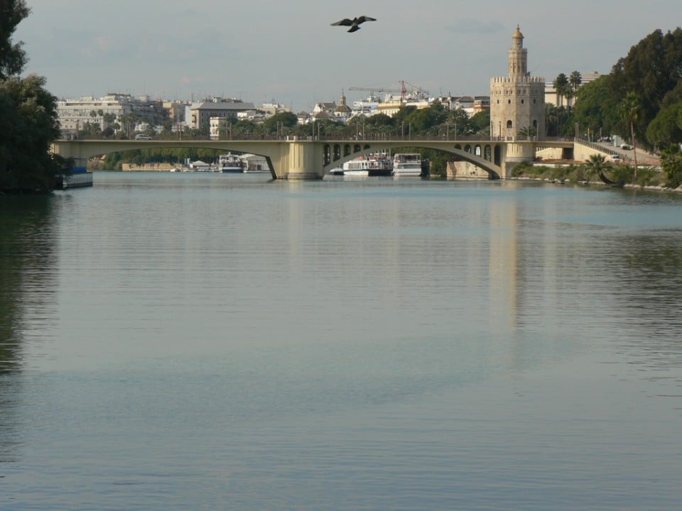 Guadalquivir Séville