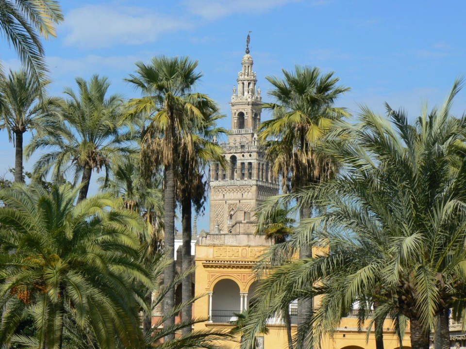 Giralda jardins Alcazar