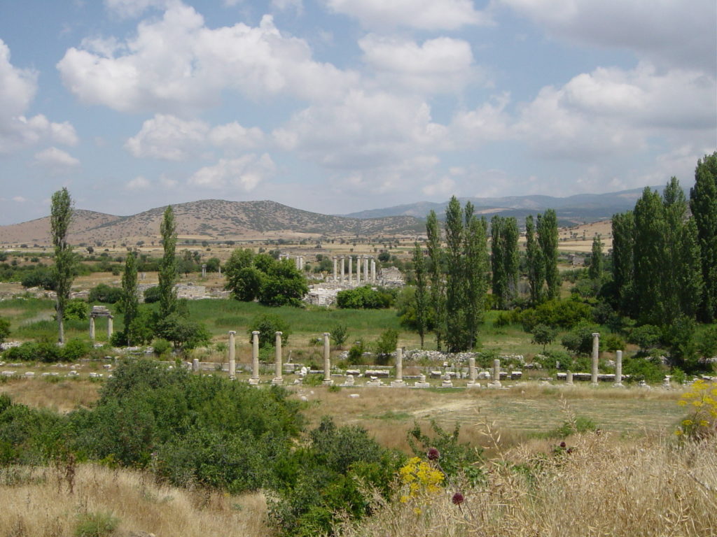Ruines de l'ancienne cité antique Aphrodisias, Turquie (Hasamélis)