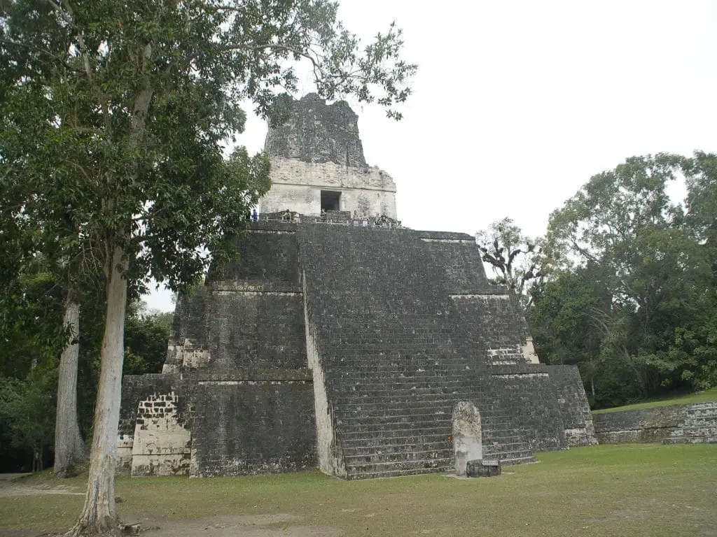 Voyage culturel Hasamélis - Site archéologique de Tikal, Guatemala (Hasamélis)