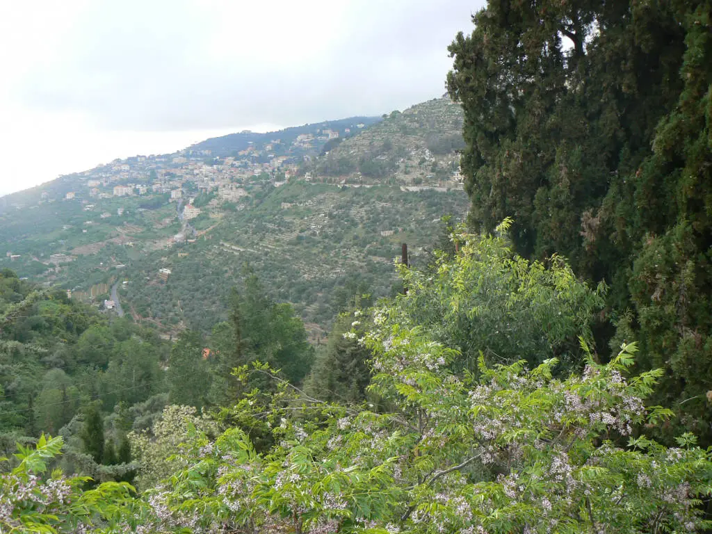 Voyage culturel Hasamélis - Chouf, Liban (Hasamélis)