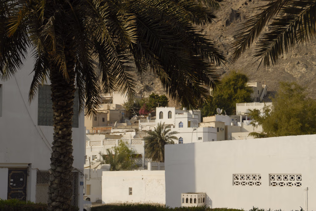 Mascate, Oman (Hasamélis)