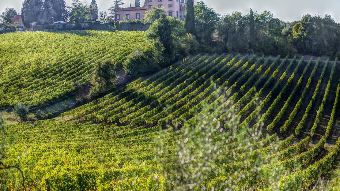 Vignobles autour de San Gimignano, Toscane, Italie (Maksrossi / Pixabay)