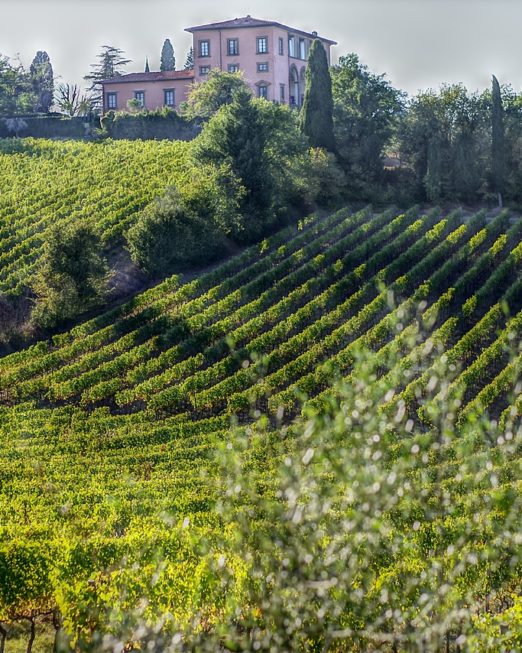 Vignobles autour de San Gimignano, Toscane, Italie (Maksrossi / Pixabay)