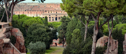 Vue du Colisée depuis le Palatin