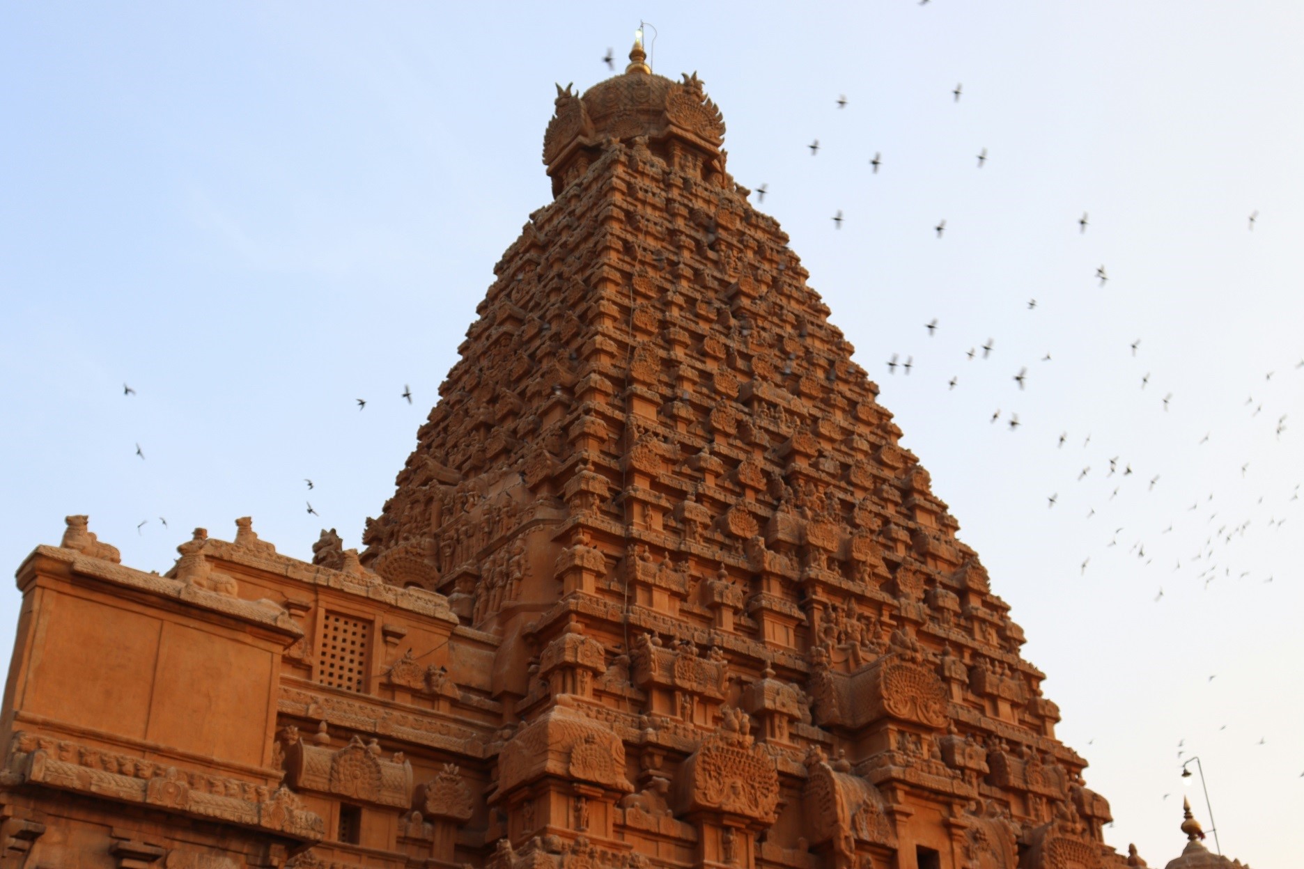 Voyage culturel Hasamélis - Inde (Mariyan Rajesh / Unsplash)
