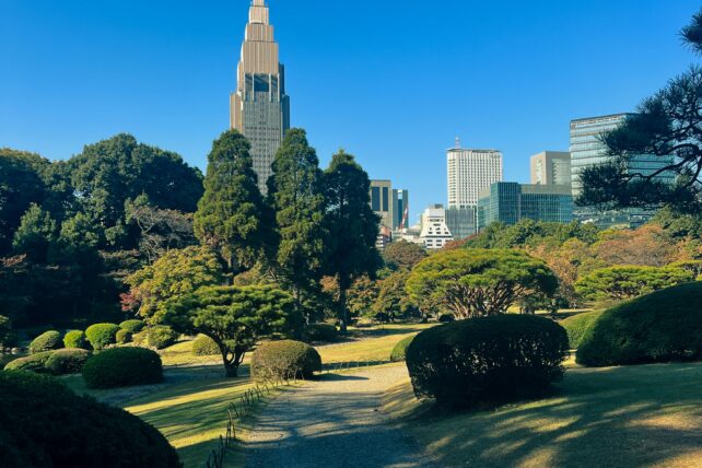 Vue sur la tour de la mairie de Tokyo au Japon.